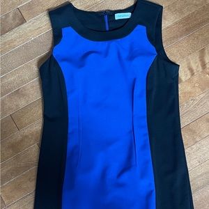 Calvin Klein Petite Dress